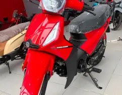 SHINERAY PHOENIX S 50 SHINERAY PHOENIX S 50