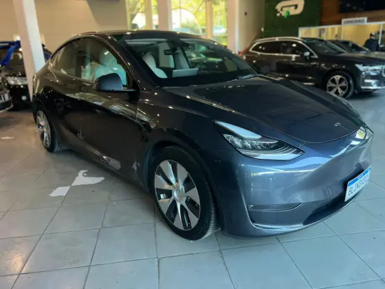 TESLA MODEL Y P100D PERFORMANCE AWD ELÉTRICO TESLA MODEL Y P100D PERFORMANCE AWD ELÉTRICO