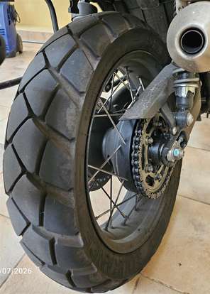 TRIUMPH-SCRAMBLER 900-2024