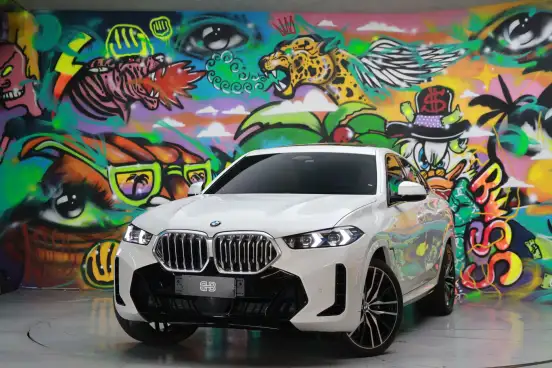 BMW-X6-2023