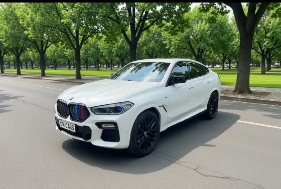 BMW X6 3.0 TWINPOWER GASOLINA XDRIVE40I M SPORT AUTOMÁTICO BMW X6 3.0 TWINPOWER GASOLINA XDRIVE40I M SPORT AUTOMÁTICO