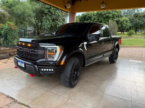 FORD F-150 5.0 V8 GASOLINA CD PLATINUM FX4 AUTOMÁTICO FORD F-150 5.0 V8 GASOLINA CD PLATINUM FX4 AUTOMÁTICO