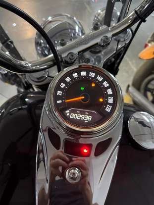 HARLEY-DAVIDSON-SOFTAIL HERITAGE CLASSIC 114-2024
