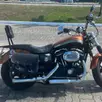 HARLEY-DAVIDSON SPORTSTER 1200 CUSTOM CA LIMITED HARLEY-DAVIDSON SPORTSTER 1200 CUSTOM CA LIMITED