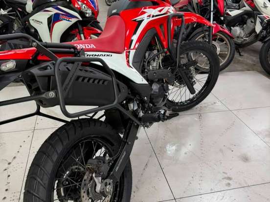 HONDA-XR 300L TORNADO HONDA-XR 300L TORNADO-2025