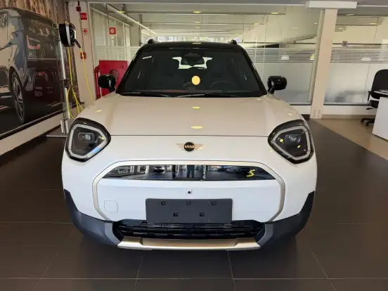 MINI-ACEMAN-2025