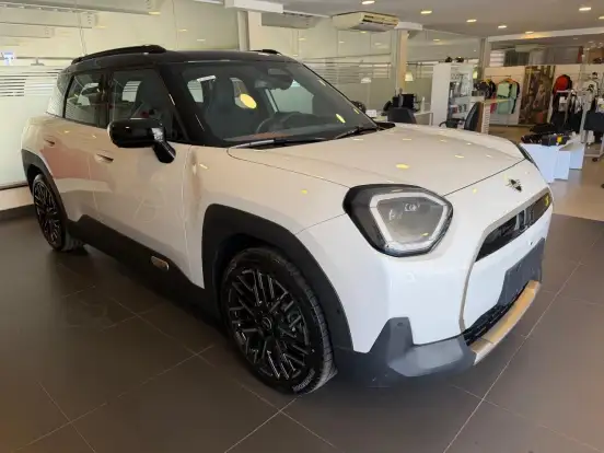 MINI-ACEMAN-2025