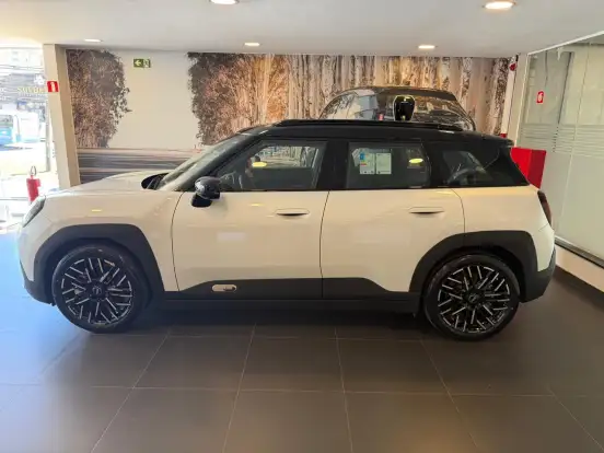 MINI-ACEMAN-2025
