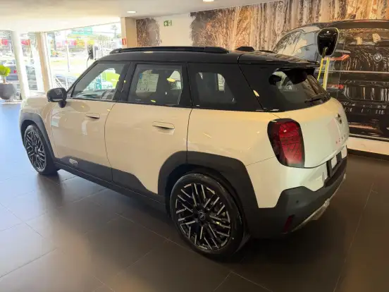 MINI-ACEMAN-2025