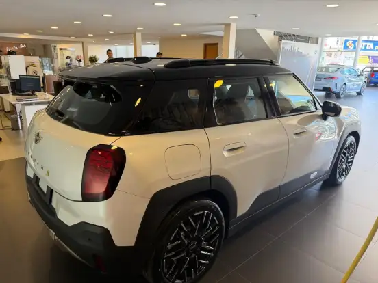 MINI-ACEMAN-2025