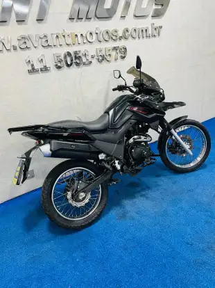 SHINERAY-SHI 175-2024