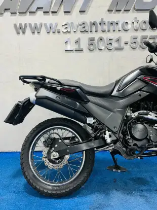 SHINERAY-SHI 175-2024