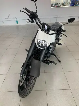 SHINERAY TITANIUM 250 SHINERAY TITANIUM 250