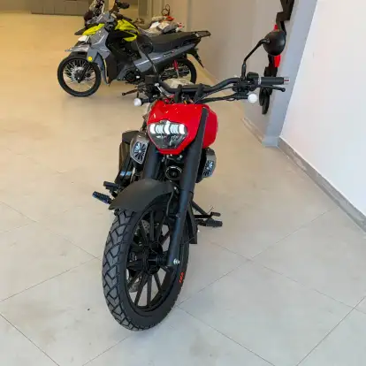 SHINERAY-TITANIUM 250-2026