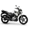 YAMAHA FACTOR YBR 150 ED YAMAHA FACTOR YBR 150 ED