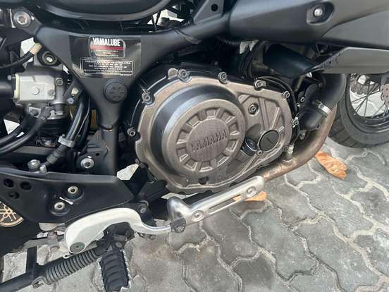 YAMAHA-XT1200Z SUPER TÉNÉRÉ DX-2019