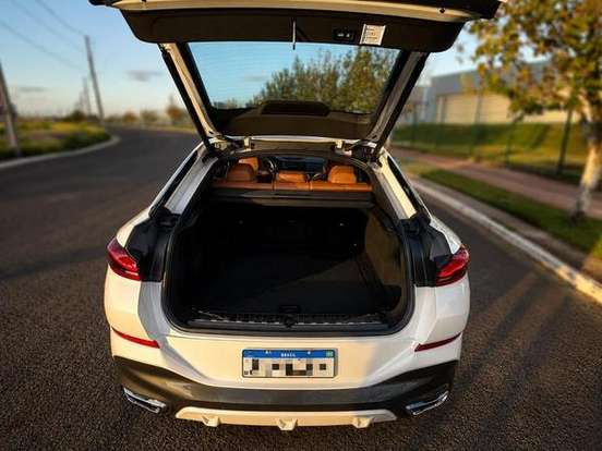 BMW-X6-3.0 TWINPOWER GASOLINA XDRIVE40I M SPORT AUTOMÁTICO BMW-X6-2021