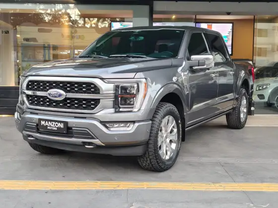 FORD F-150 5.0 V8 GASOLINA CD PLATINUM FX4 AUTOMÁTICO