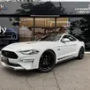 FORD MUSTANG 5.0 V8 TI-VCT GASOLINA BLACK SHADOW SELECTSHIFT FORD MUSTANG 5.0 V8 TI-VCT GASOLINA BLACK SHADOW SELECTSHIFT