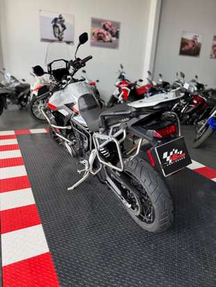 TRIUMPH-TIGER 900 RALLY PRO-2024