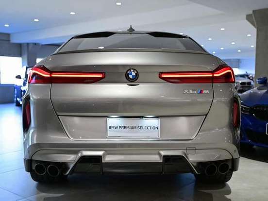 BMW-X6-2021