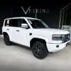DENZA B5 1.5 TURBO PHEV AWD AUTOMÁTICO DENZA B5 1.5 TURBO PHEV AWD AUTOMÁTICO