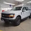 FORD F-150 5.0 V8 GASOLINA CD TREMOR FX4 AUTOMÁTICO FORD F-150 5.0 V8 GASOLINA CD TREMOR FX4 AUTOMÁTICO
