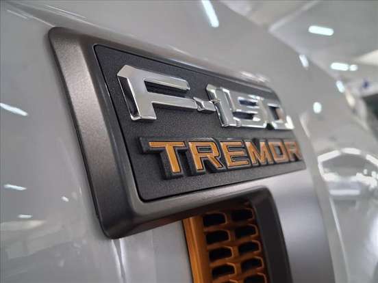 FORD-F-150-5.0 V8 GASOLINA CD TREMOR FX4 AUTOMÁTICO FORD-F-150-2025