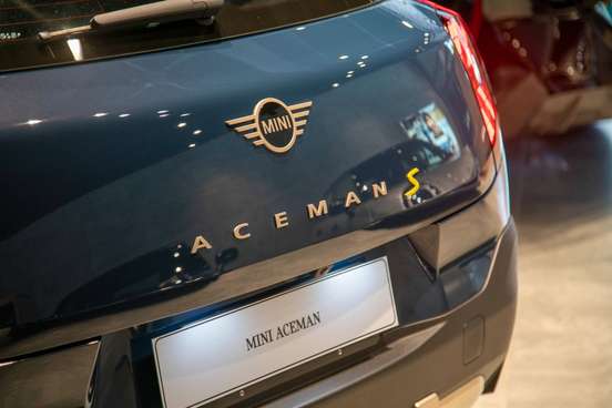 MINI-ACEMAN-2024