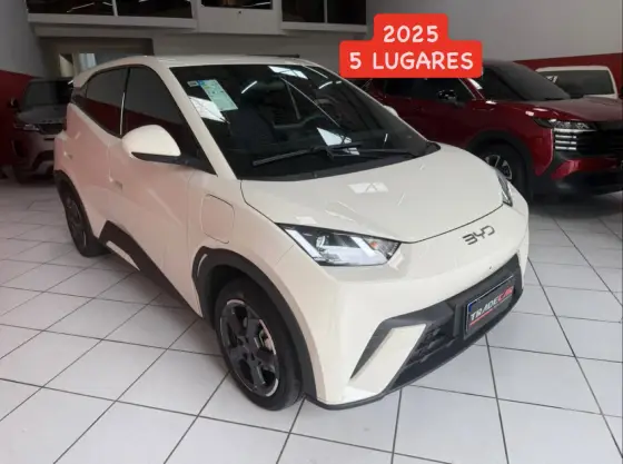 BYD DOLPHIN MINI 38 KW ELÉTRICO 5L