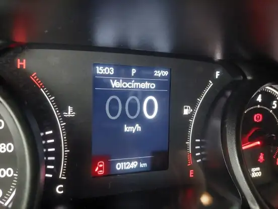 FIAT-PULSE-2024