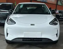 GEELY EX2 39,4 KW ELÉTRICO PRO GEELY EX2 39,4 KW ELÉTRICO PRO