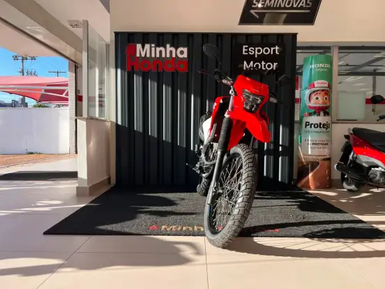 HONDA-XR 300L TORNADO HONDA-XR 300L TORNADO-2025