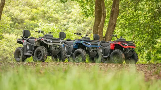FUN MOTORS FARMER 300 FUN MOTORS FARMER 300