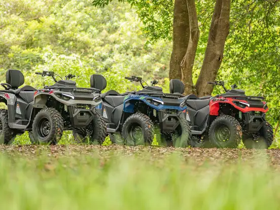 FUN MOTORS-FARMER 300 FUN MOTORS-FARMER 300-2025