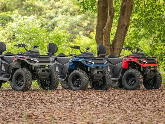 FUN MOTORS-FARMER 300 FUN MOTORS-FARMER 300-2025