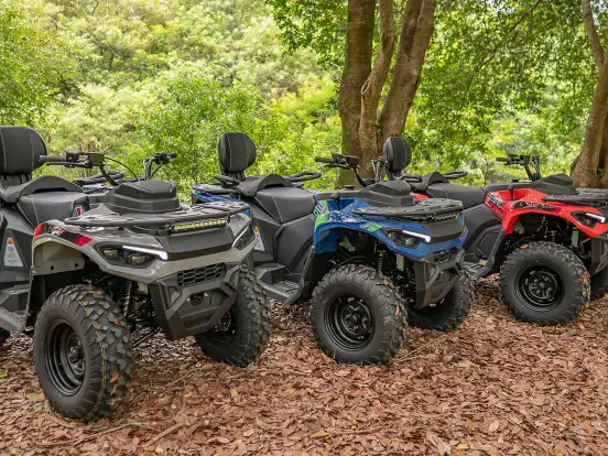 FUN MOTORS-FARMER 300 FUN MOTORS-FARMER 300-2025