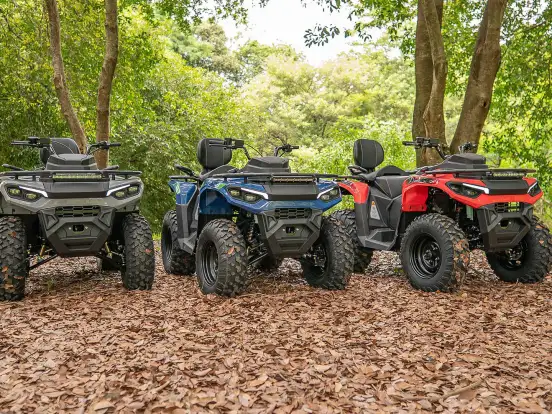 FUN MOTORS-FARMER 300 FUN MOTORS-FARMER 300-2025
