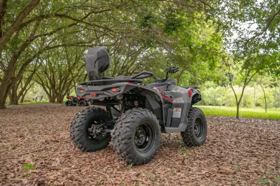 FUN MOTORS-FARMER 300-2025