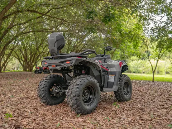 FUN MOTORS-FARMER 300 FUN MOTORS-FARMER 300-2025