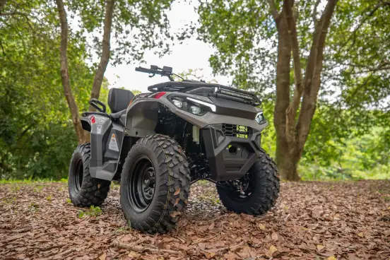 FUN MOTORS-FARMER 300-2025