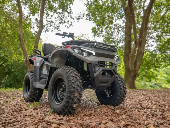 FUN MOTORS-FARMER 300 FUN MOTORS-FARMER 300-2025