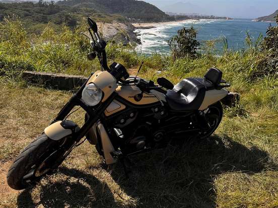 HARLEY-DAVIDSON-NIGHT ROD SPECIAL HARLEY-DAVIDSON-NIGHT ROD SPECIAL-2014