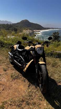 HARLEY-DAVIDSON-NIGHT ROD SPECIAL HARLEY-DAVIDSON-NIGHT ROD SPECIAL-2014