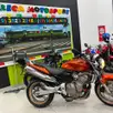 HONDA CB 600F HORNET HONDA CB 600F HORNET