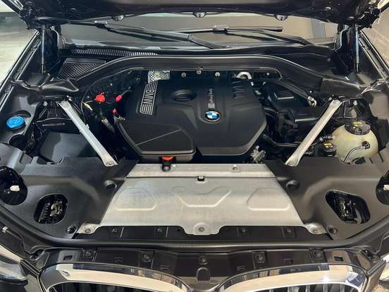 BMW-X4-2.0 16V GASOLINA XDRIVE30I M SPORT STEPTRONIC BMW-X4-2019