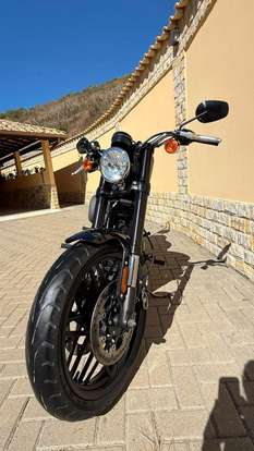 HARLEY-DAVIDSON-SPORTSTER ROADSTER-2018