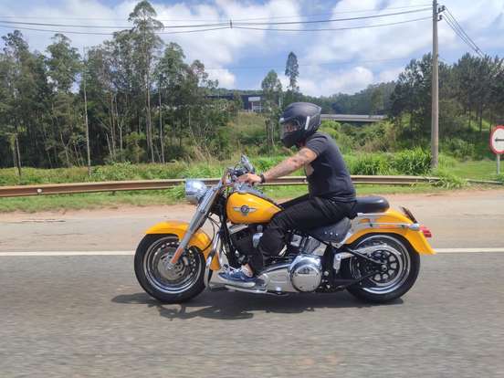 HARLEY-DAVIDSON-SOFTAIL FAT BOY HARLEY-DAVIDSON-SOFTAIL FAT BOY-2011