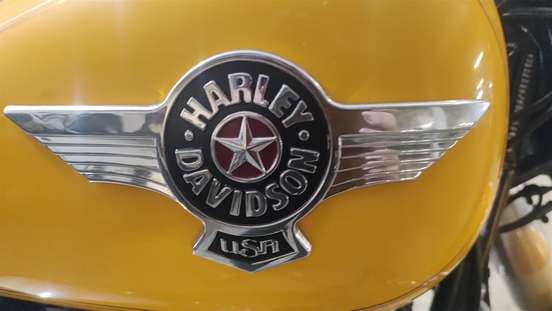 HARLEY-DAVIDSON-SOFTAIL FAT BOY HARLEY-DAVIDSON-SOFTAIL FAT BOY-2011