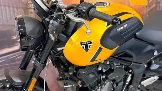 TRIUMPH-TRIDENT 660-2026
